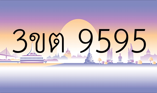 3ขต 9595